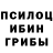 Псилоцибиновые грибы Magic Shrooms Aivars Kurtiss