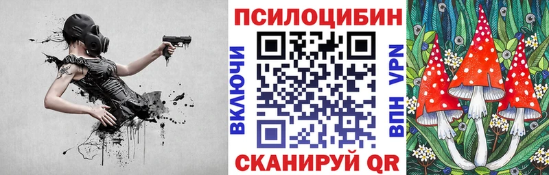 купить  цена  Сунжа  гидра сайт  Галлюциногенные грибы Psilocybine cubensis 