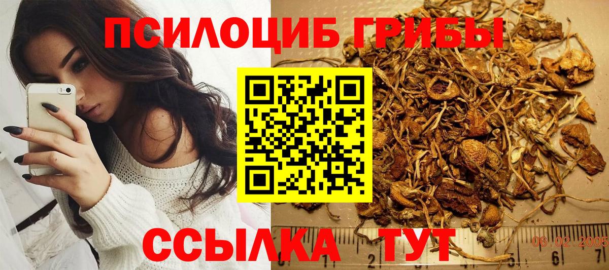 Галлюциногенные грибы GOLDEN TEACHER Сунжа