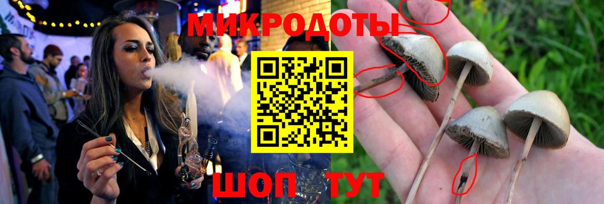 Галлюциногенные грибы Magic Shrooms  Вход с VPN  Сунжа 