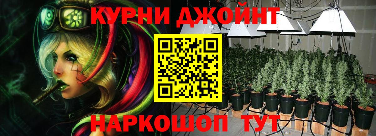 Бошки марихуана Ganja  Марихуана конопля  Вход с VPN  Сунжа  Каннабис THC 21%  Канабис Ganja 